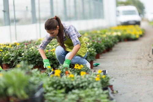 Cookie policy information for Landscaping Brimsdown website