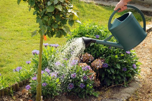 Low-maintenance garden planting and lawn design for a Brimsdown home