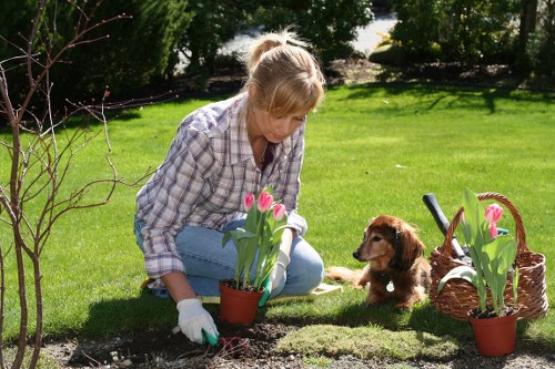 Modern slavery prevention in landscaping supply chains