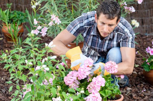 Supplier audit and compliance review in landscaping